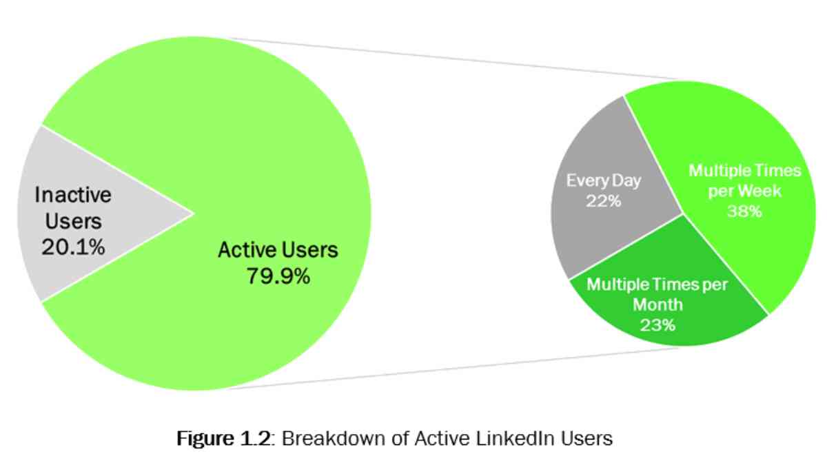 FrogDog Research Report: How C-level Executives Really Use LinkedIn