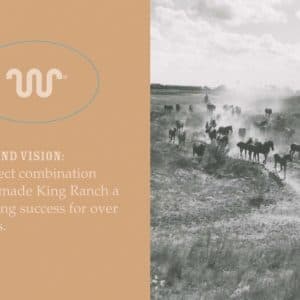 Brochure // FrogDog used the standards it defined in the King Ranch branding guide to update the company’s corporate brochure. This attractive piece educates those interested in this legendary enterprise—including potential business partners—about its history and current operations.