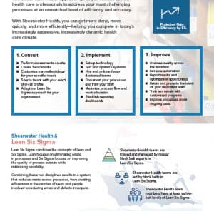 Leave-Behinds // FrogDog created sales sheets for the Shearwater Health sales team to use in conversation with each market. FrogDog designed these sales sheets to align with the marketing effort and ensure consistency of voice and message across the new-client-acquisition continuum.