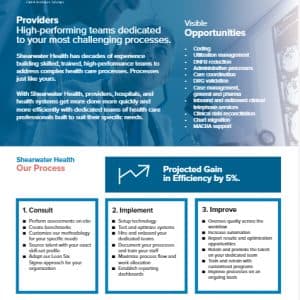 Leave-Behinds // FrogDog created sales sheets for the Shearwater Health sales team to use in conversation with each market. FrogDog designed these sales sheets to align with the marketing effort and ensure consistency of voice and message across the new-client-acquisition continuum.